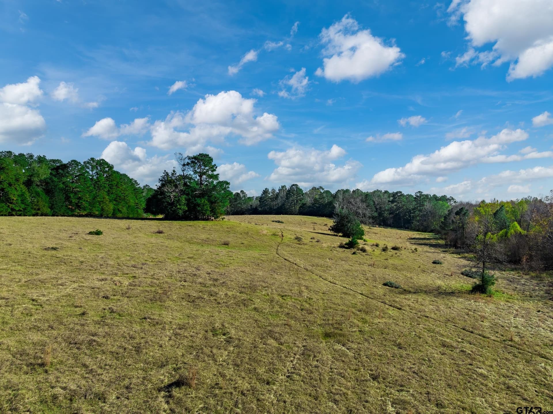 38 acres in Anderson County featured view