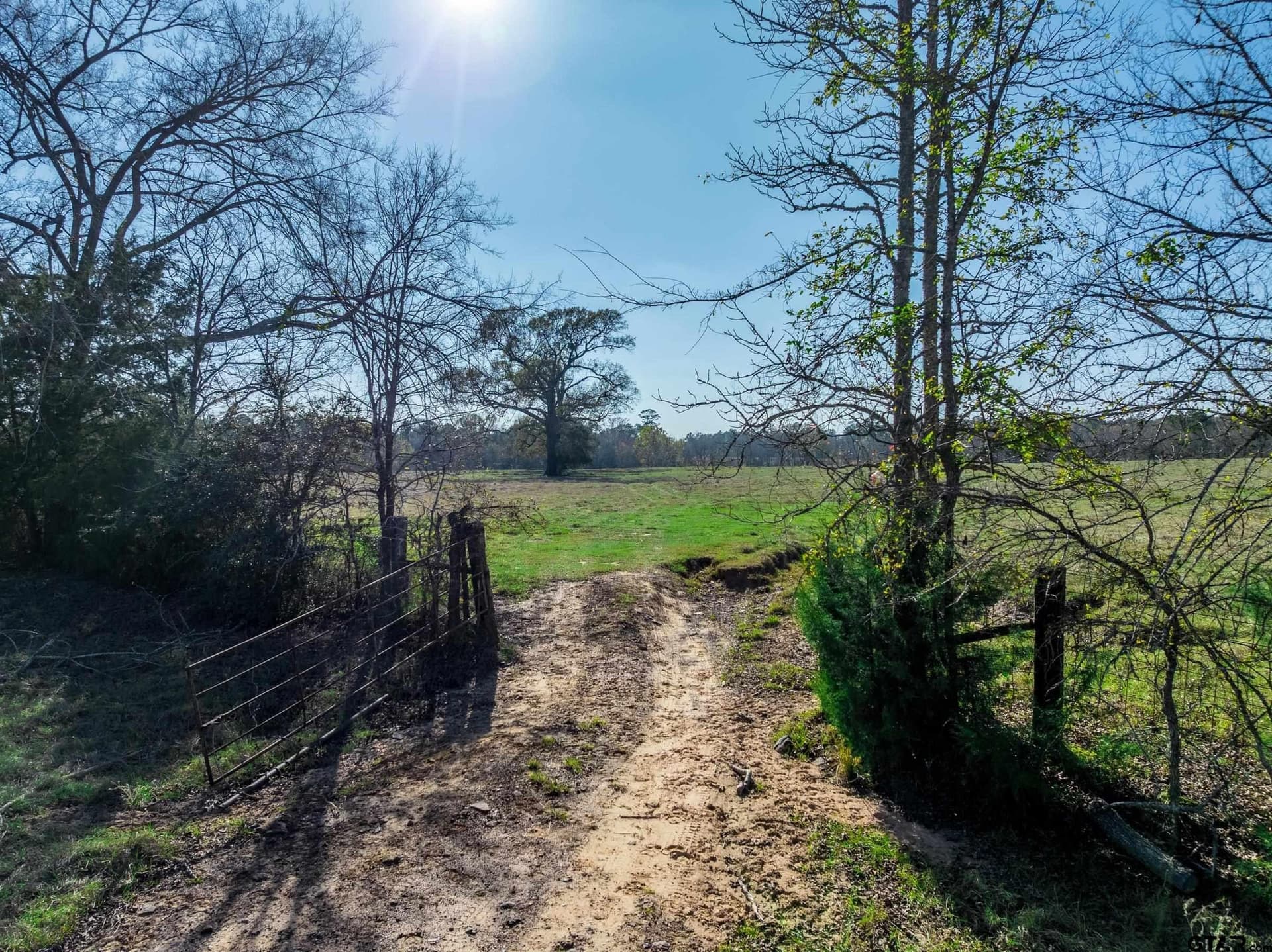 38 acres in Anderson County gallery image 3