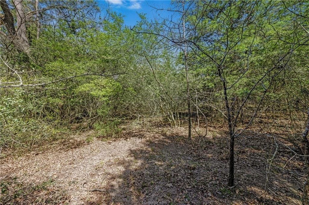 1.78 acres in Leon County - photo 10
