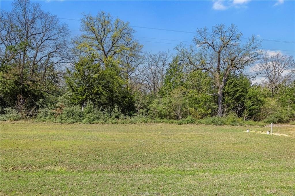 1.78 acres in Leon County - photo 9