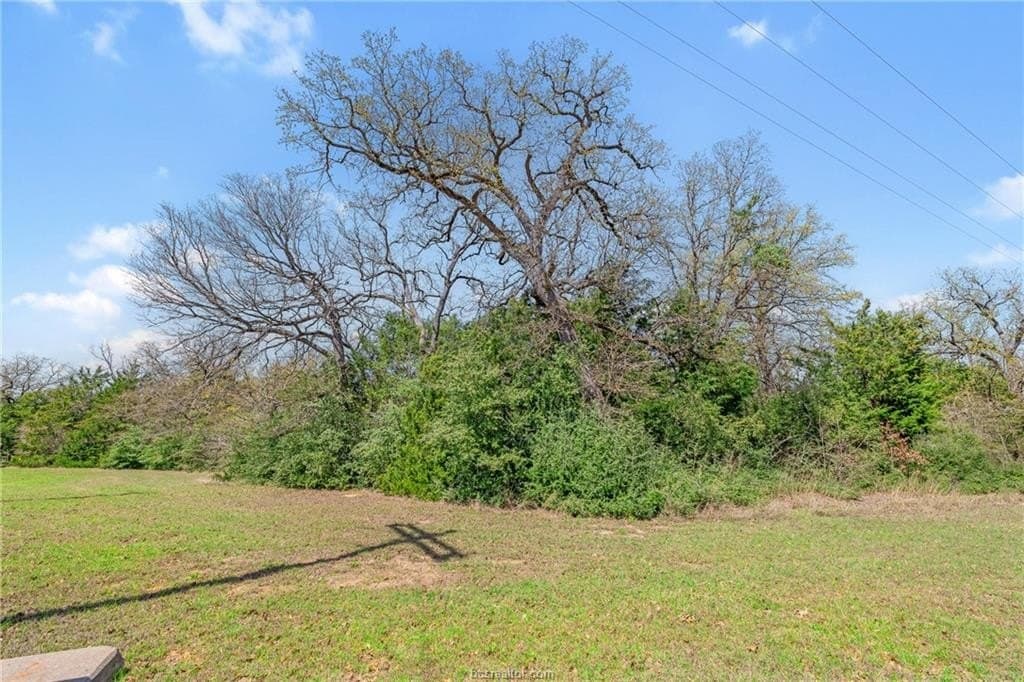 1.78 acres in Leon County - photo 6