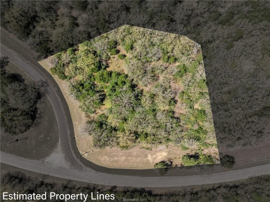 1.78 acres in Leon County gallery image 3