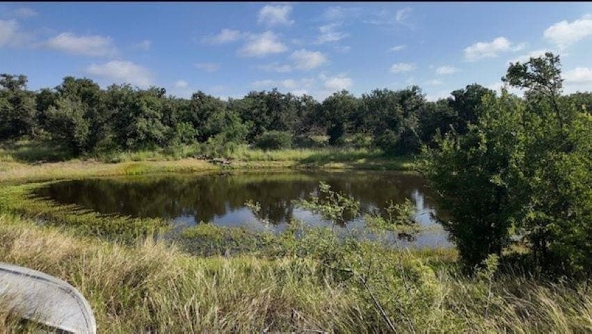 101.5 acres in San Saba County - photo 23