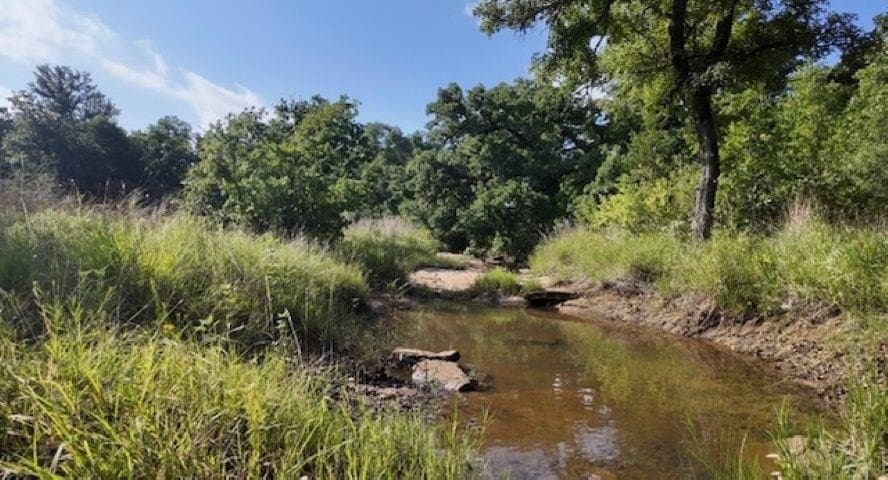 101.5 acres in San Saba County - photo 24