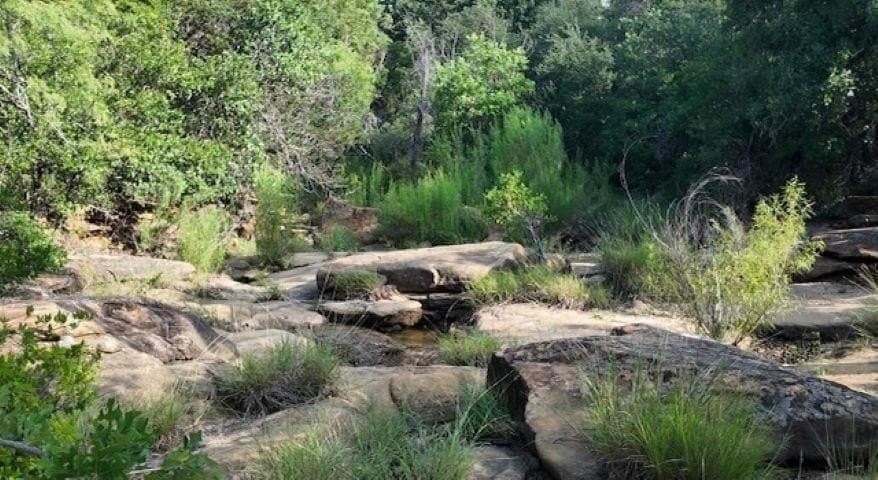 101.5 acres in San Saba County - photo 22