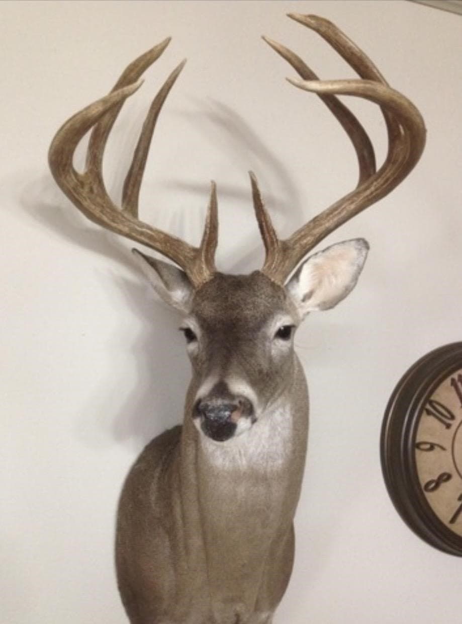 101.5 acres in San Saba County - photo 10