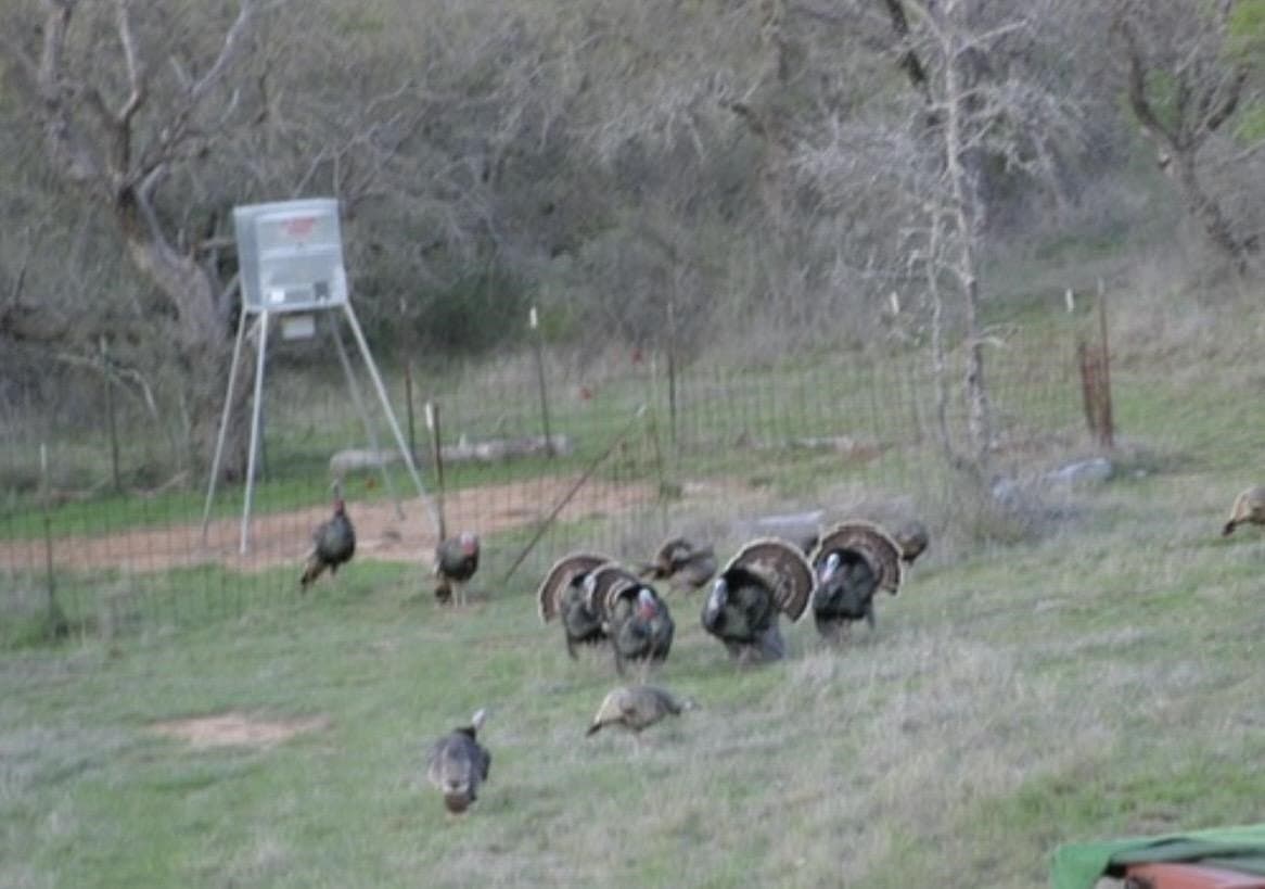 101.5 acres in San Saba County - photo 19