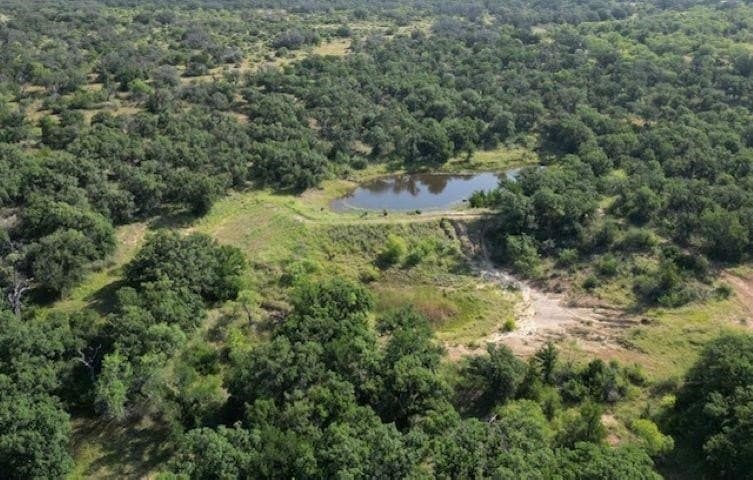 101.5 acres in San Saba County gallery image 2
