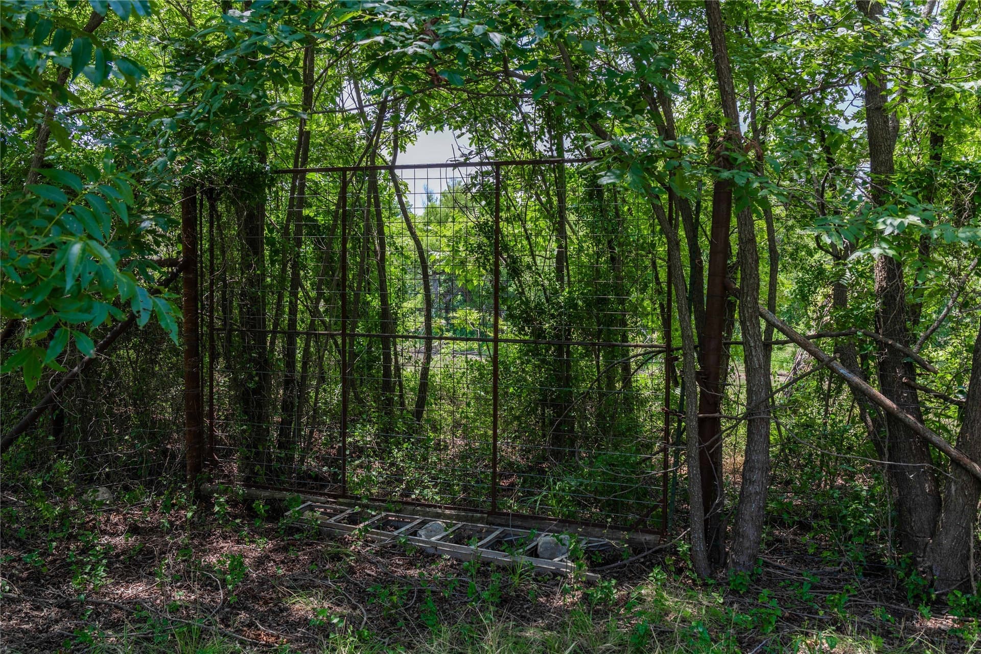 230 acres in Coleman County - photo 39