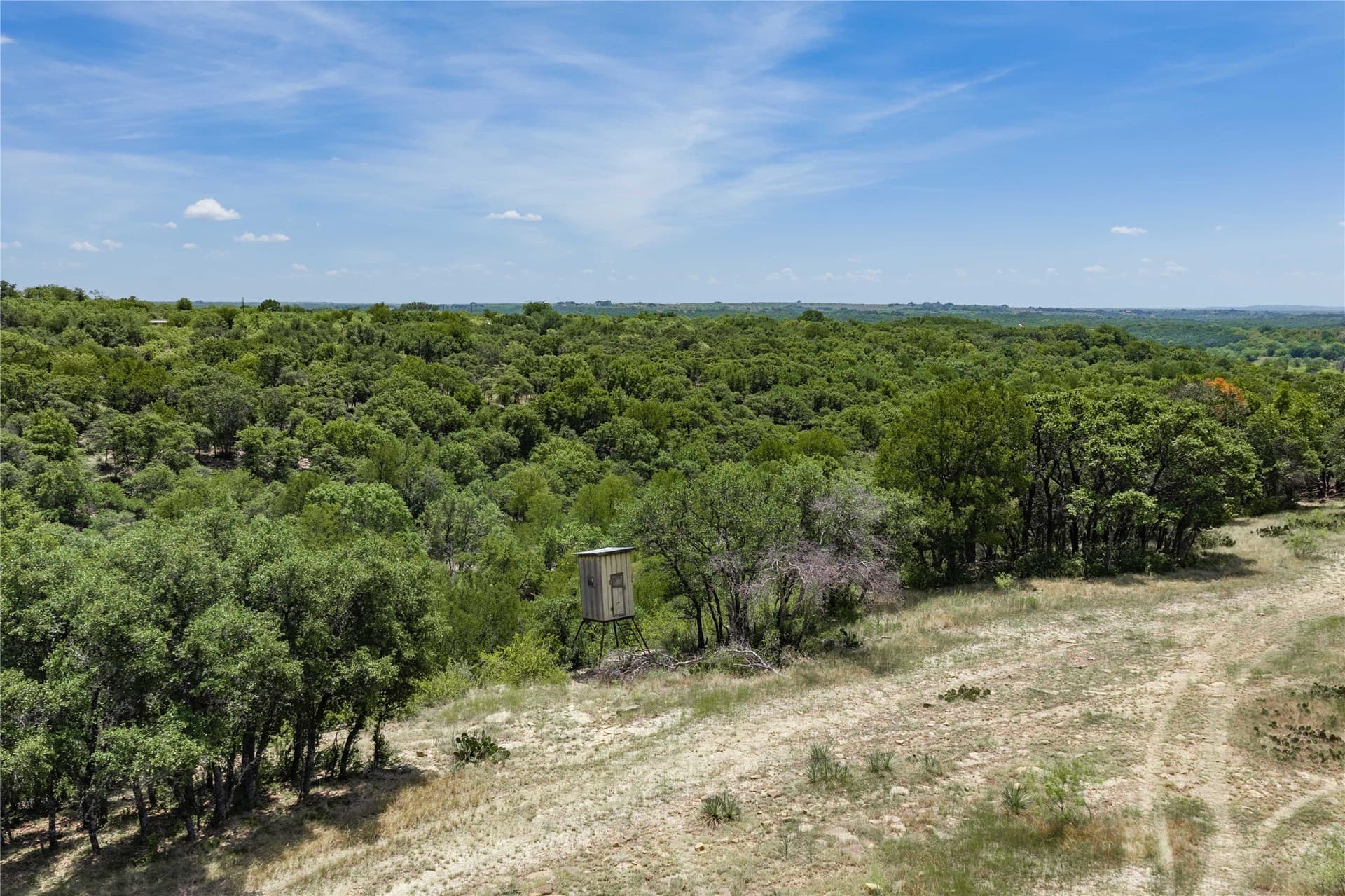 230 acres in Coleman County - photo 12