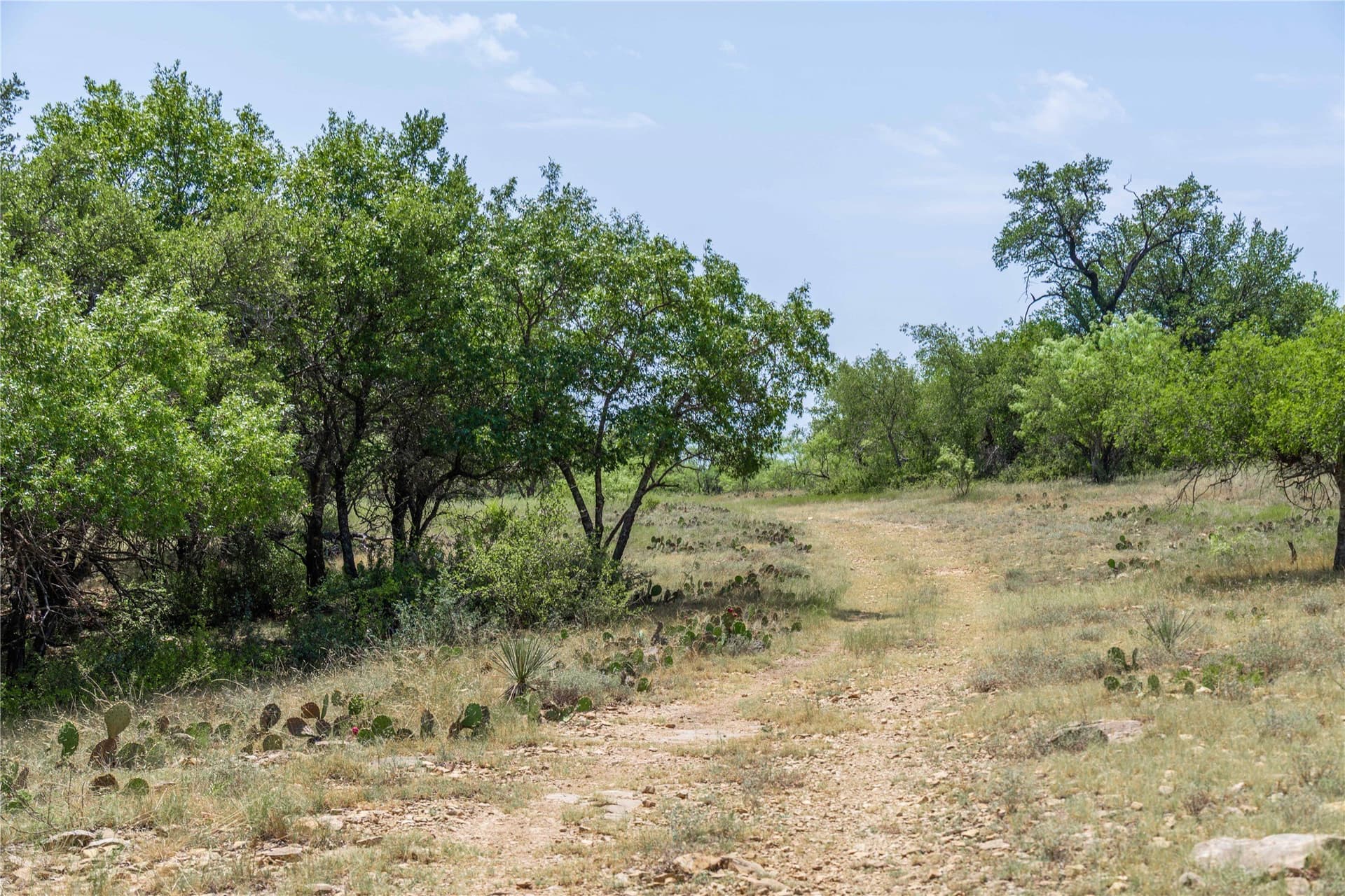 230 acres in Coleman County - photo 26