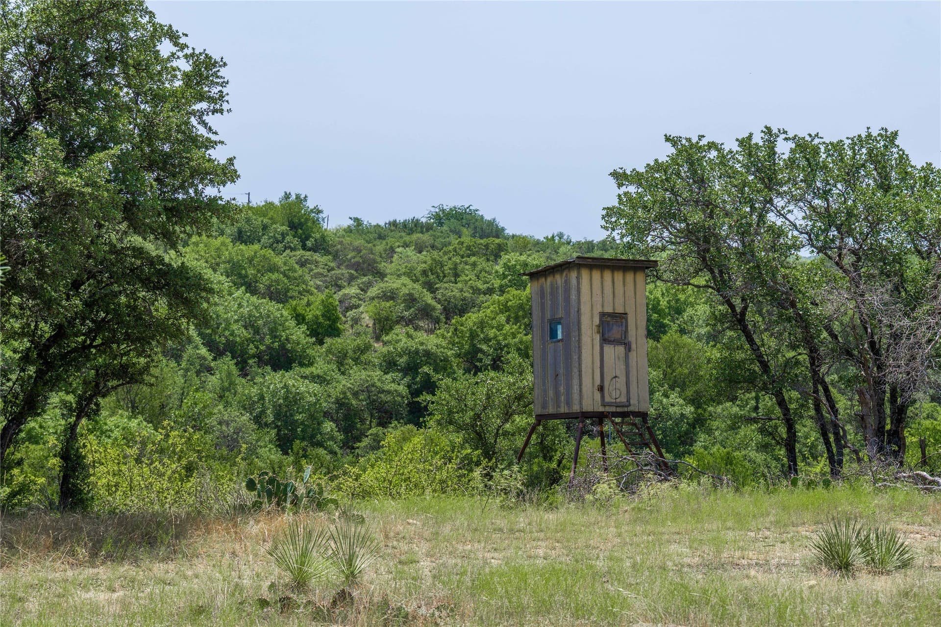 230 acres in Coleman County - photo 23