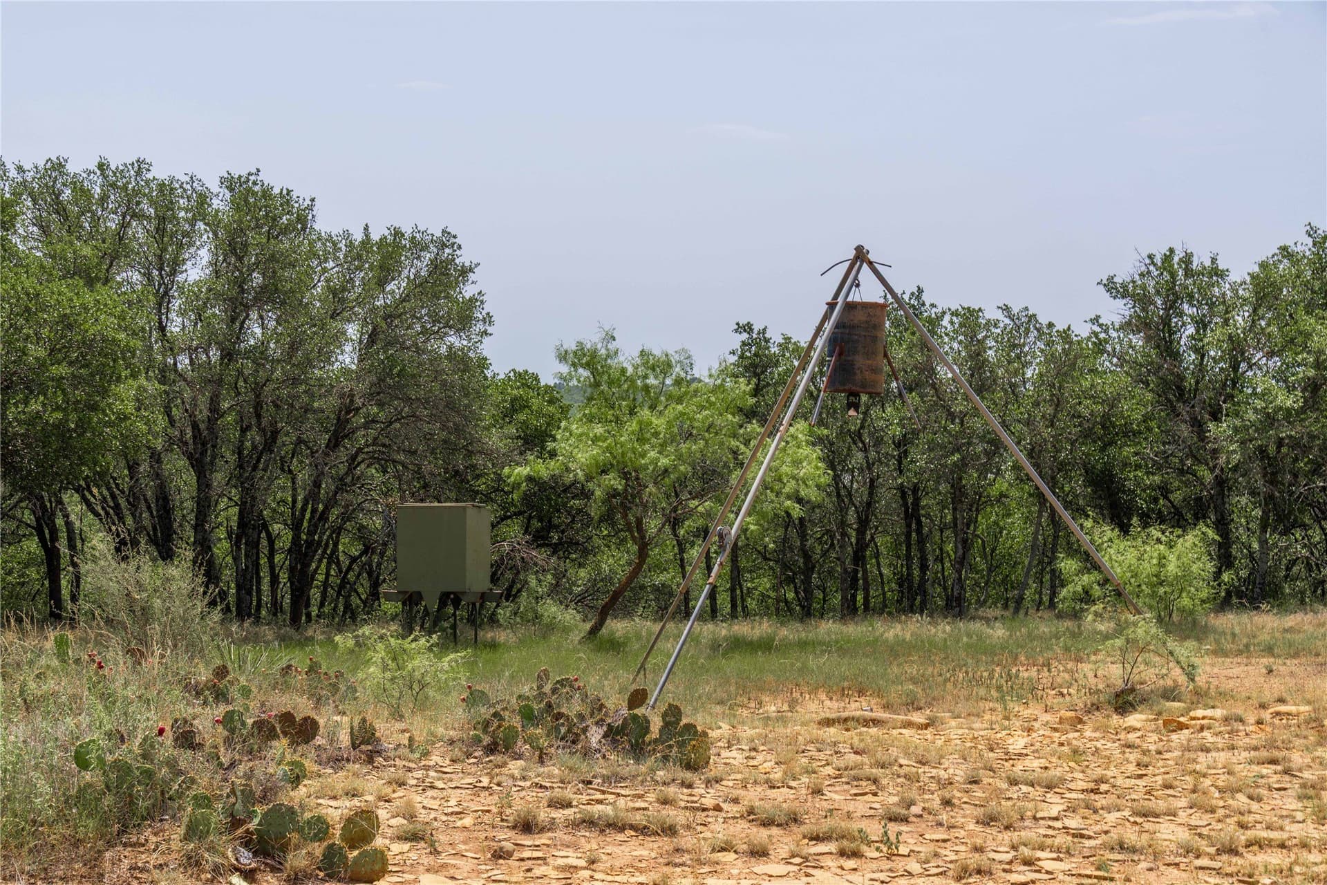 230 acres in Coleman County - photo 28