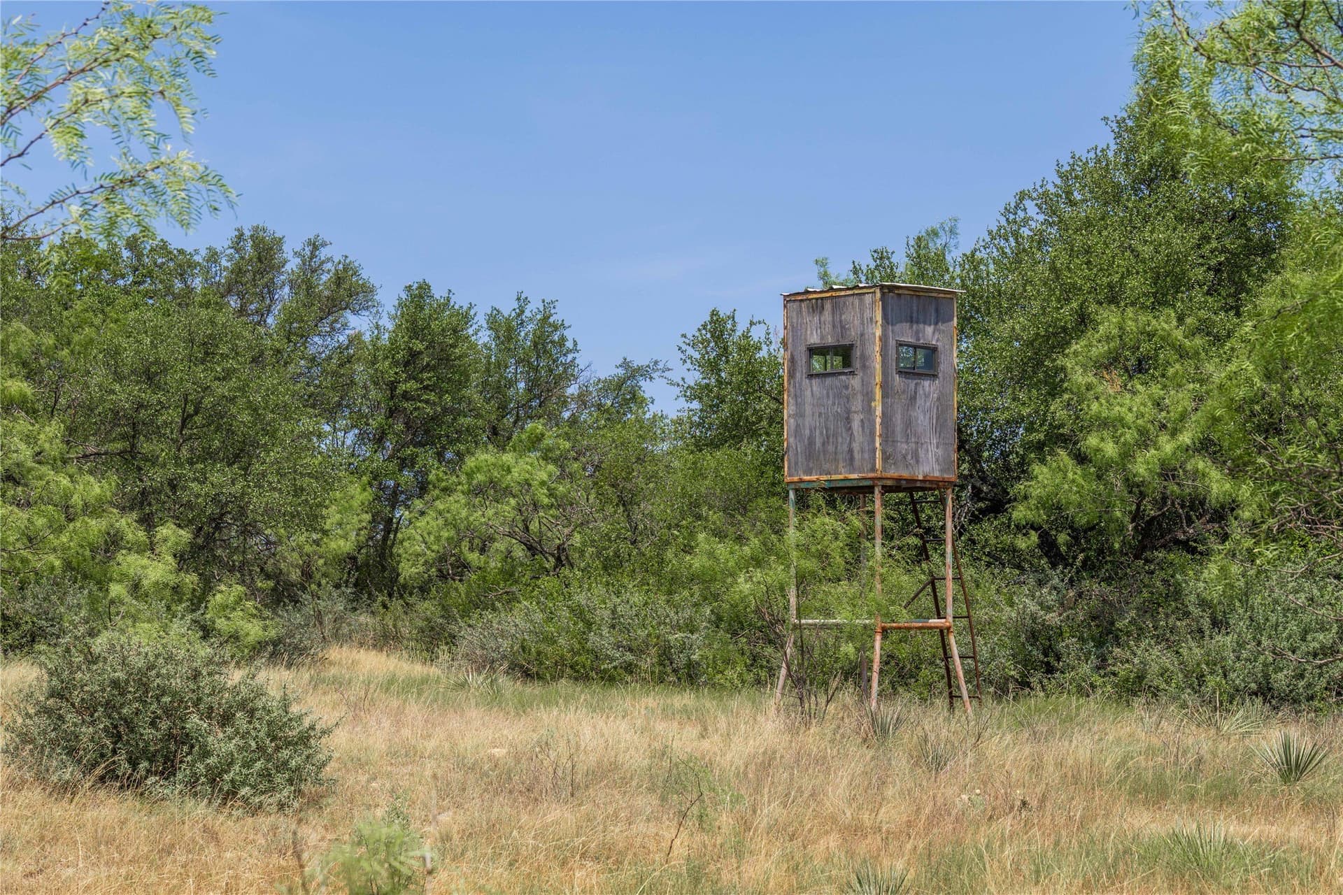 230 acres in Coleman County - photo 27