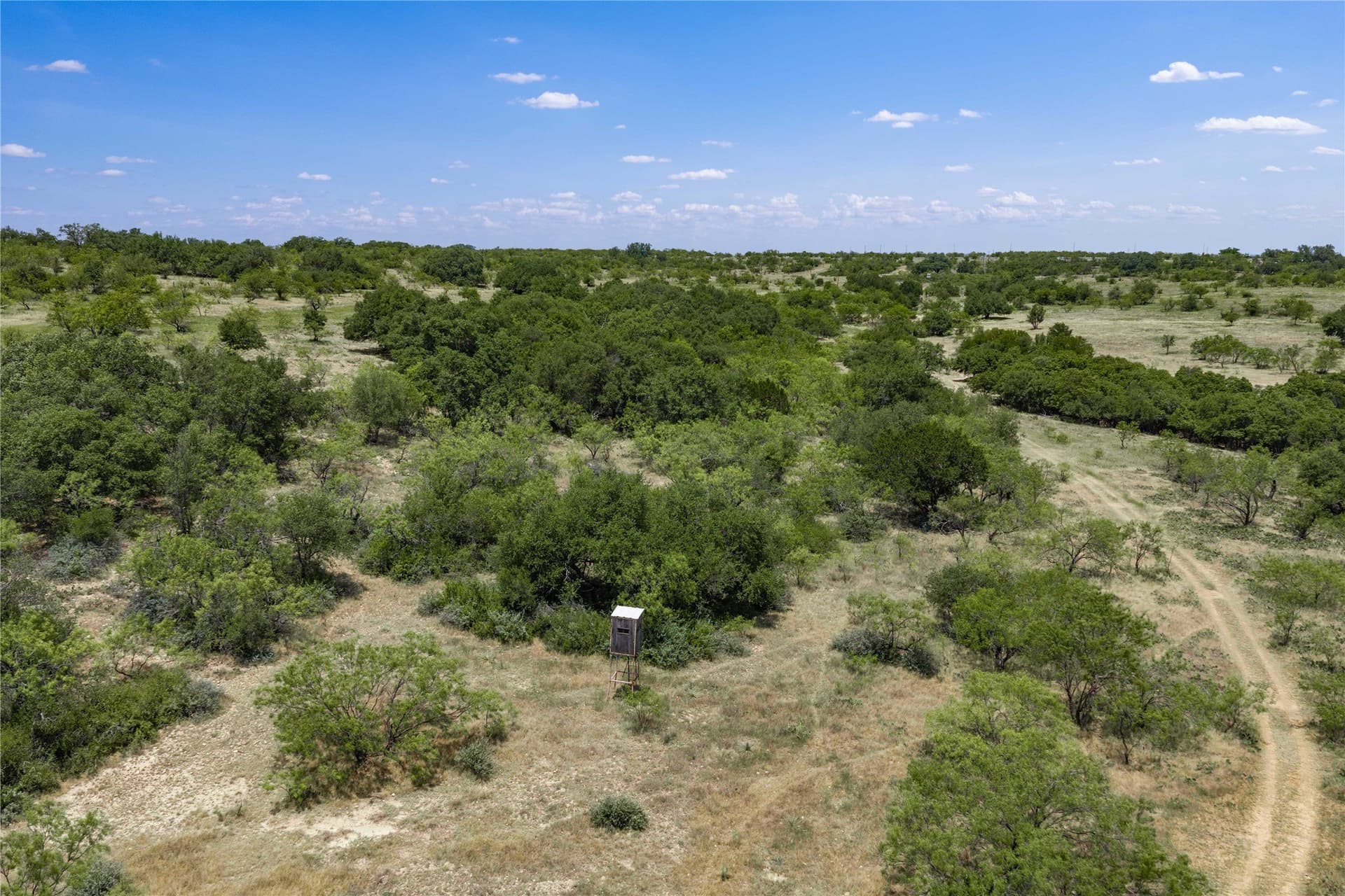 230 acres in Coleman County - photo 18