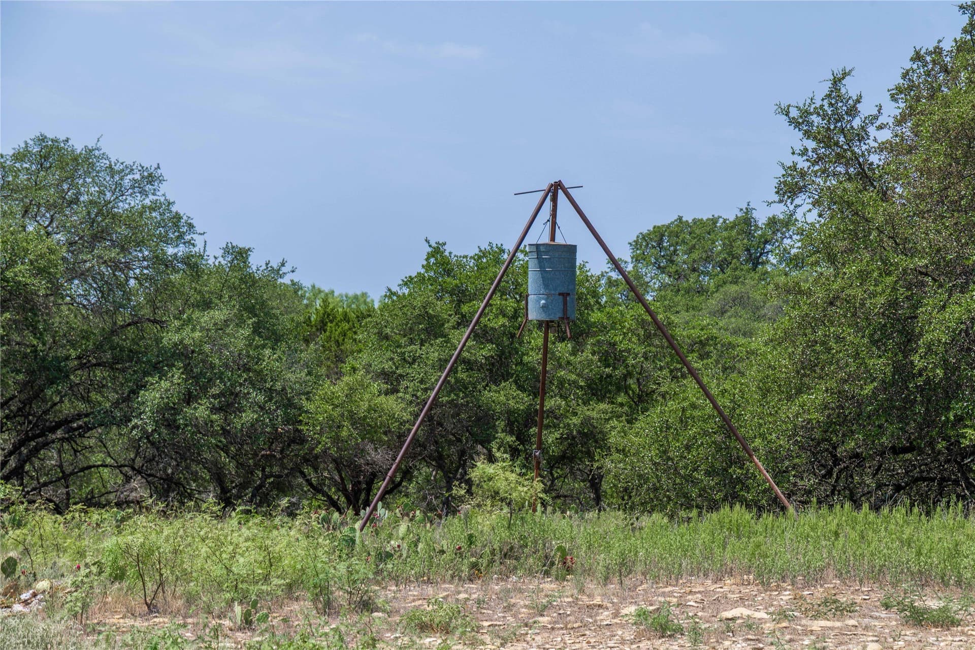 230 acres in Coleman County - photo 25