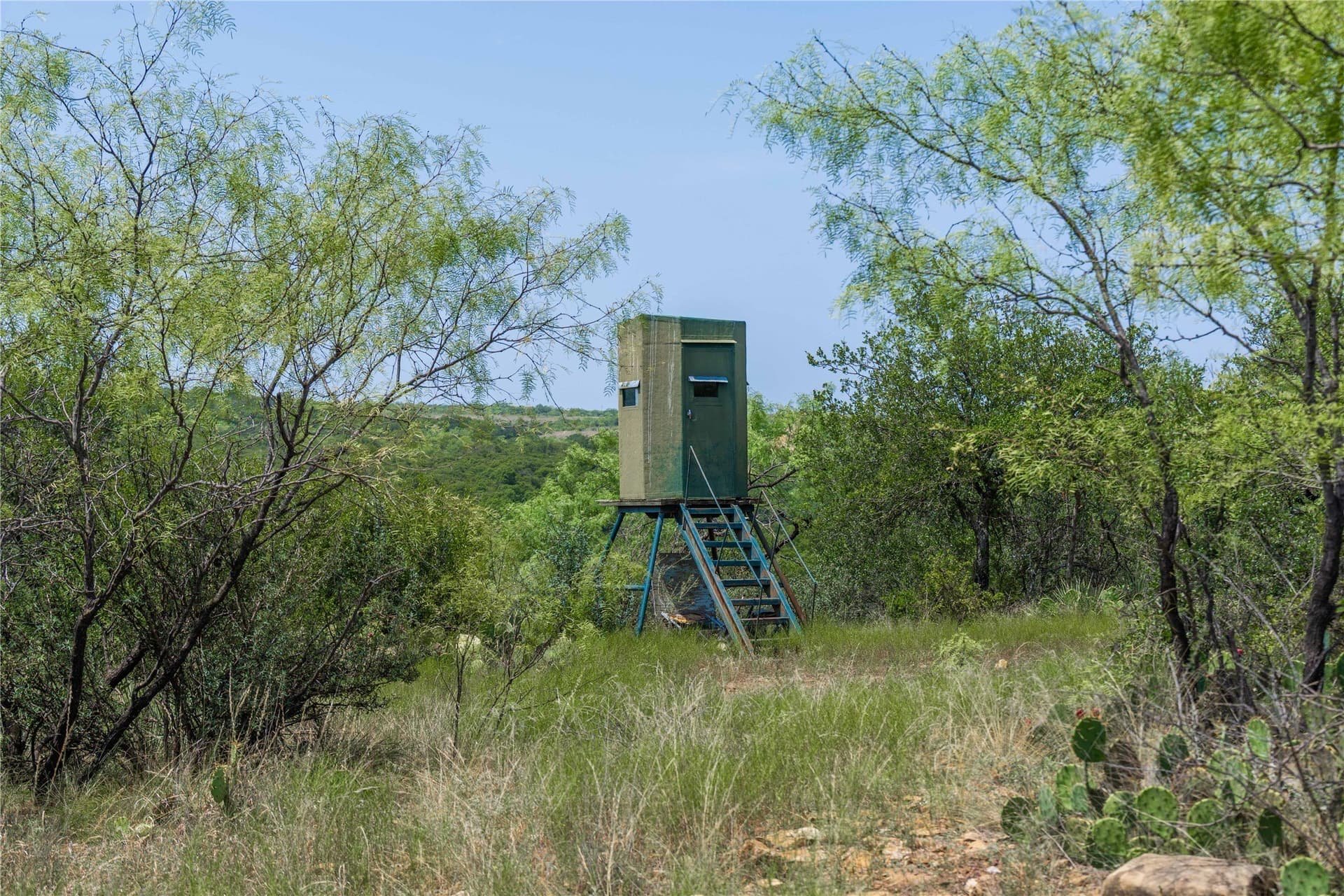 230 acres in Coleman County - photo 32