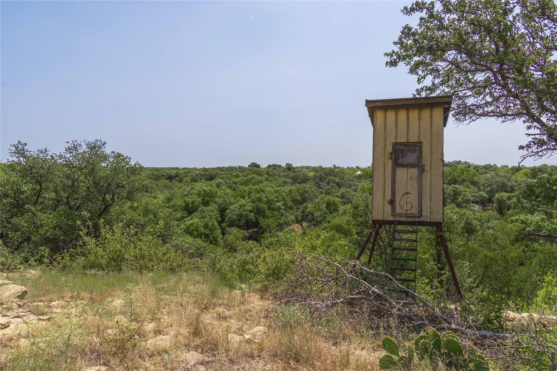 230 acres in Coleman County - photo 22