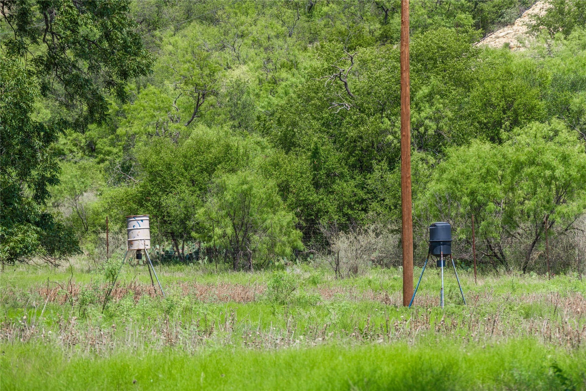 230 acres in Coleman County - photo 38