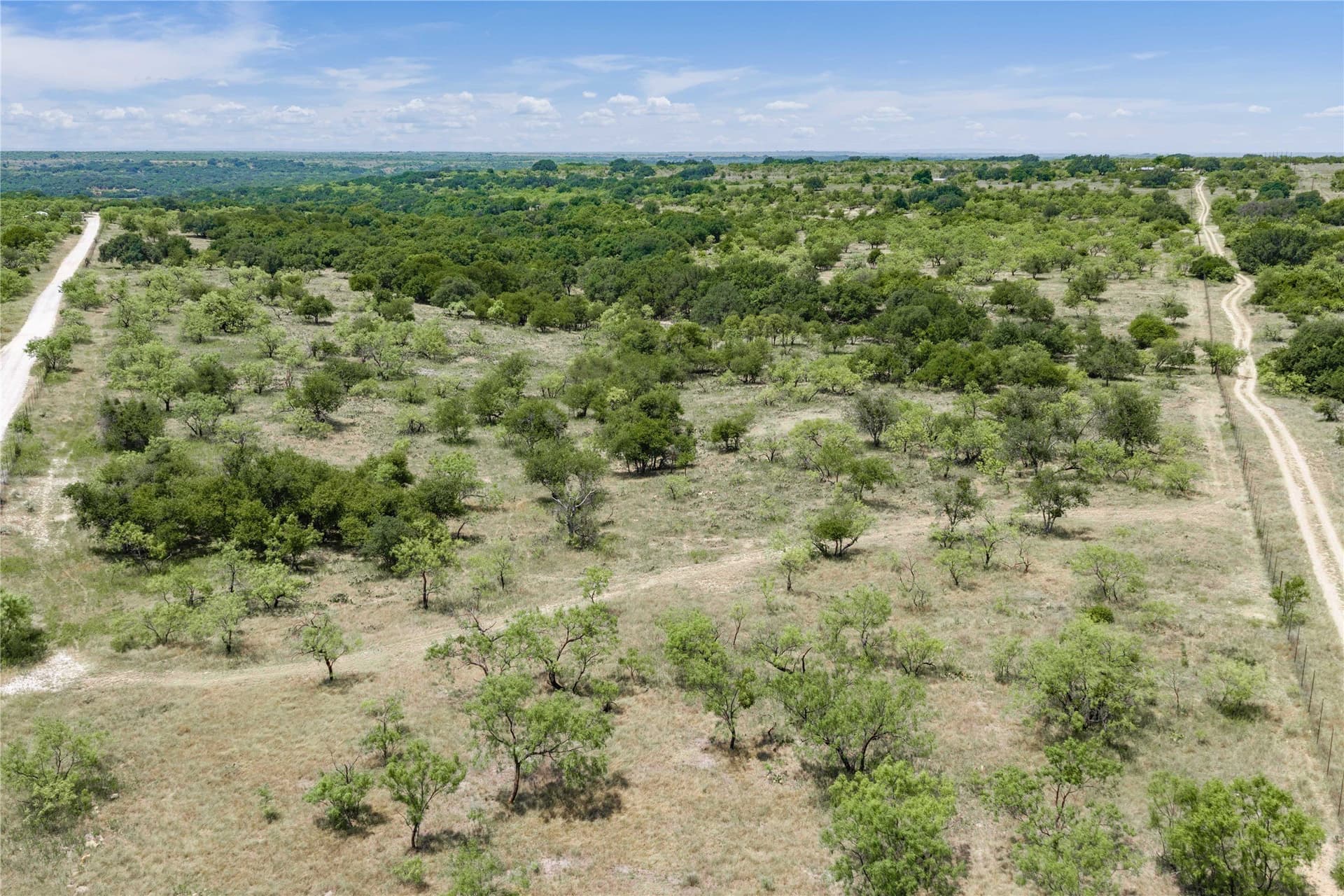 230 acres in Coleman County - photo 4