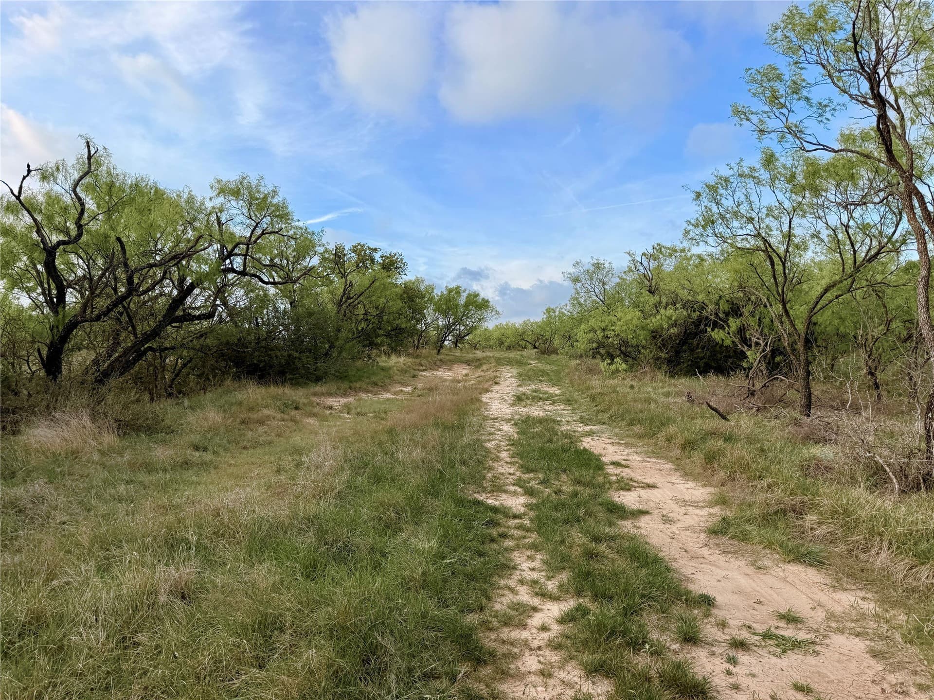 97.72 acres in Comanche County - photo 14