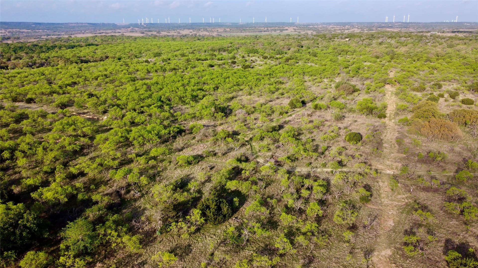 97.72 acres in Comanche County gallery image 2