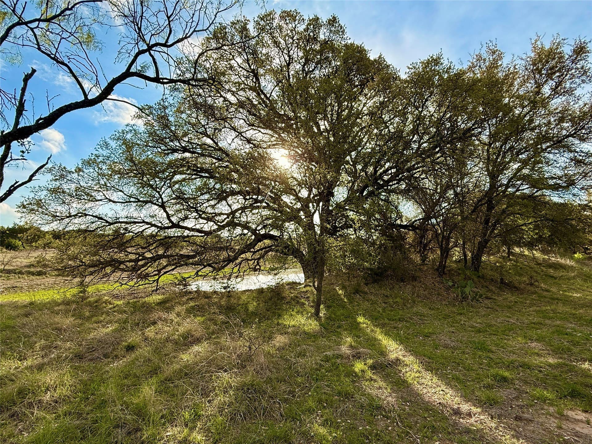 97.72 acres in Comanche County - photo 7