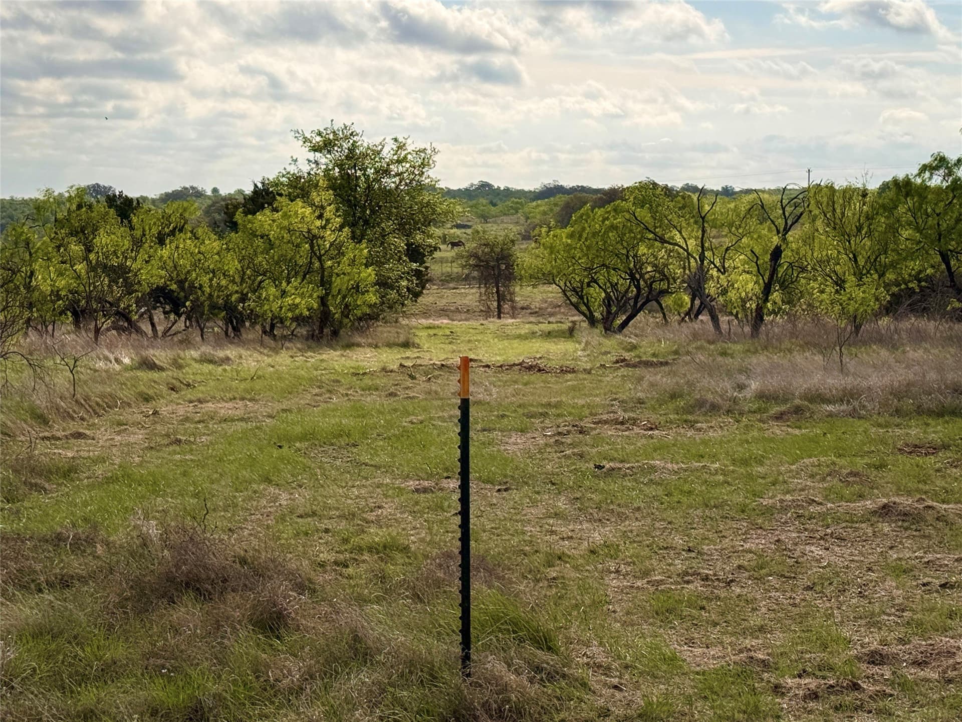 97.72 acres in Comanche County - photo 21