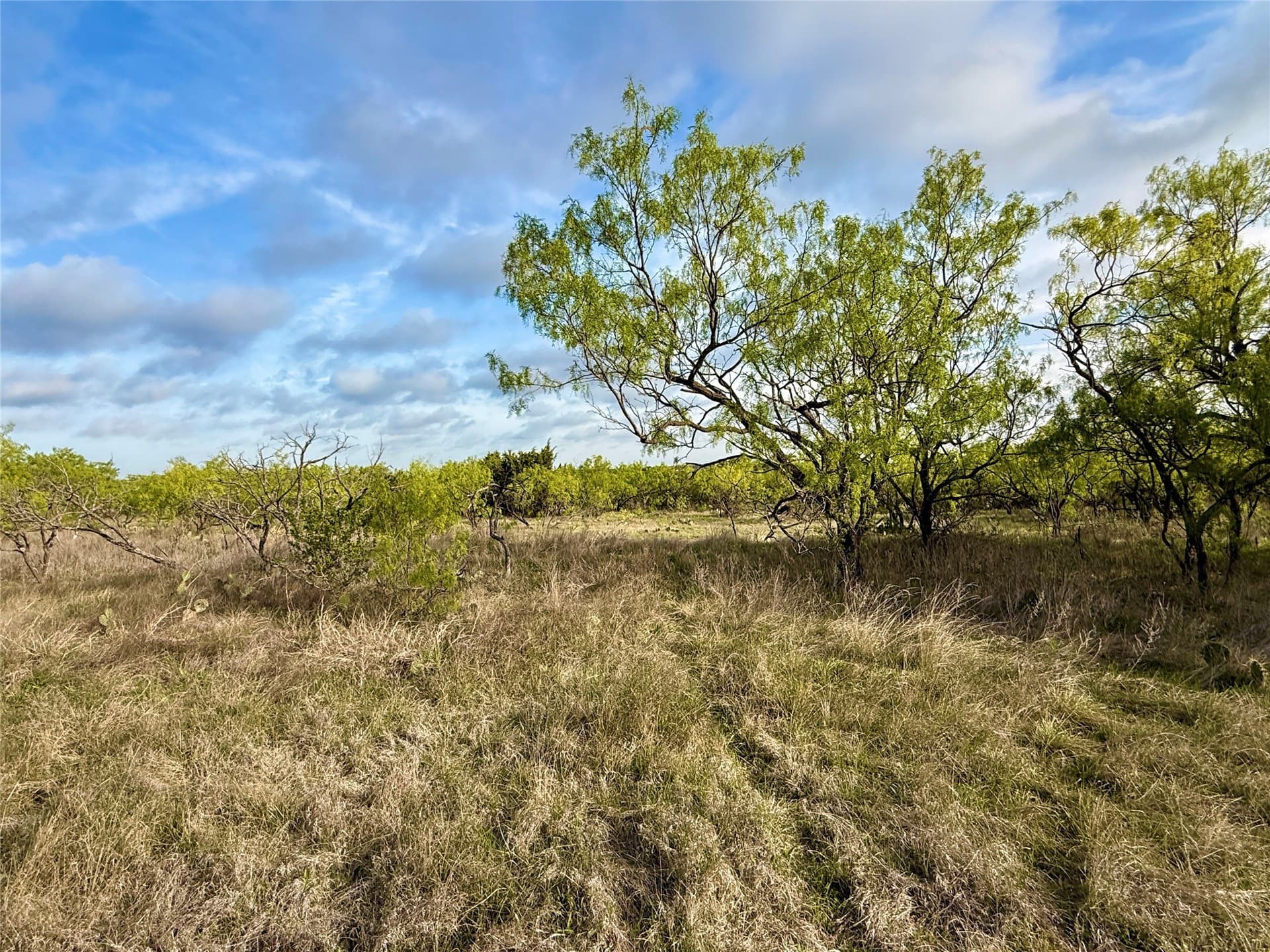 97.72 acres in Comanche County - photo 17