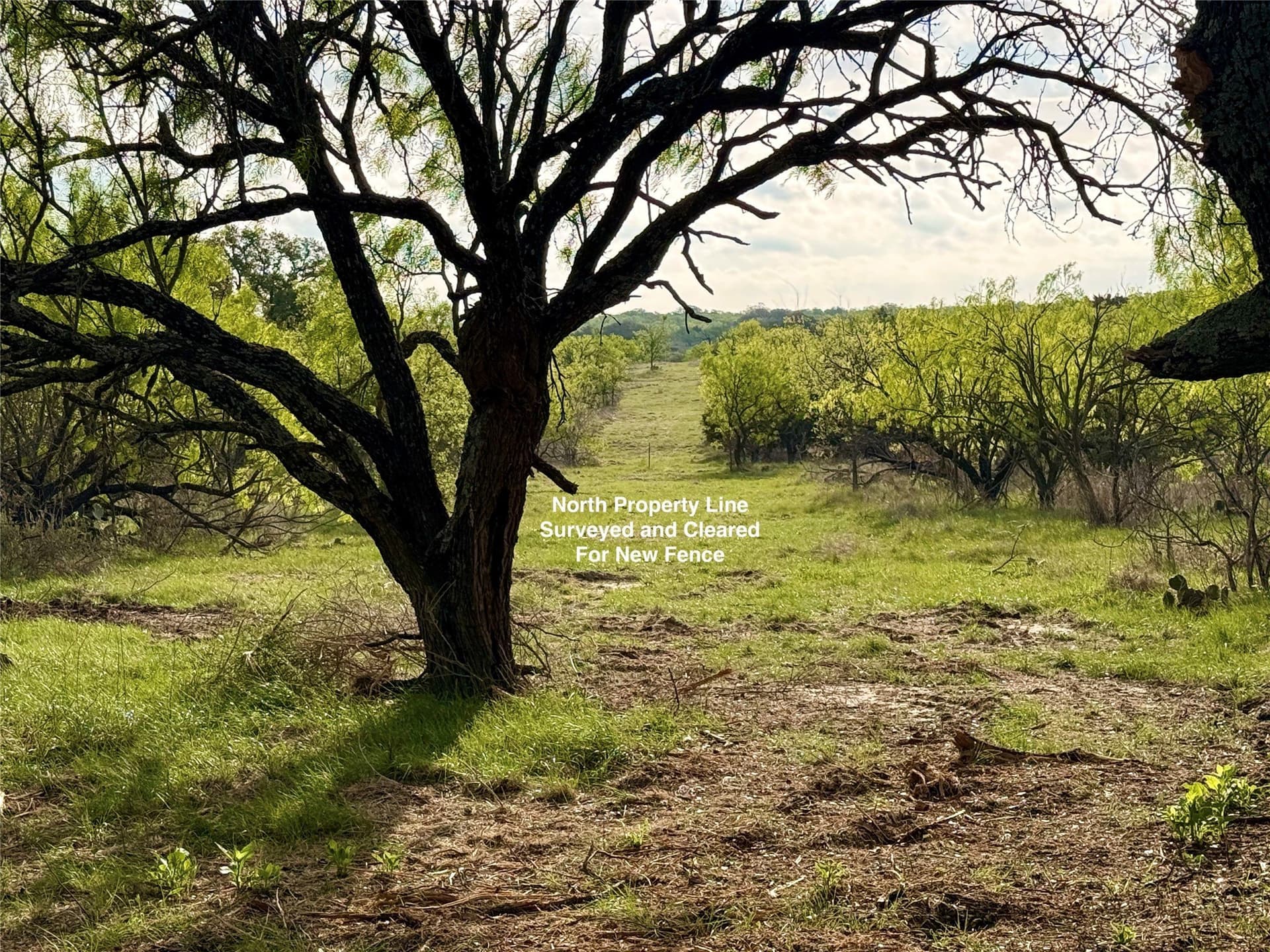 97.72 acres in Comanche County - photo 20