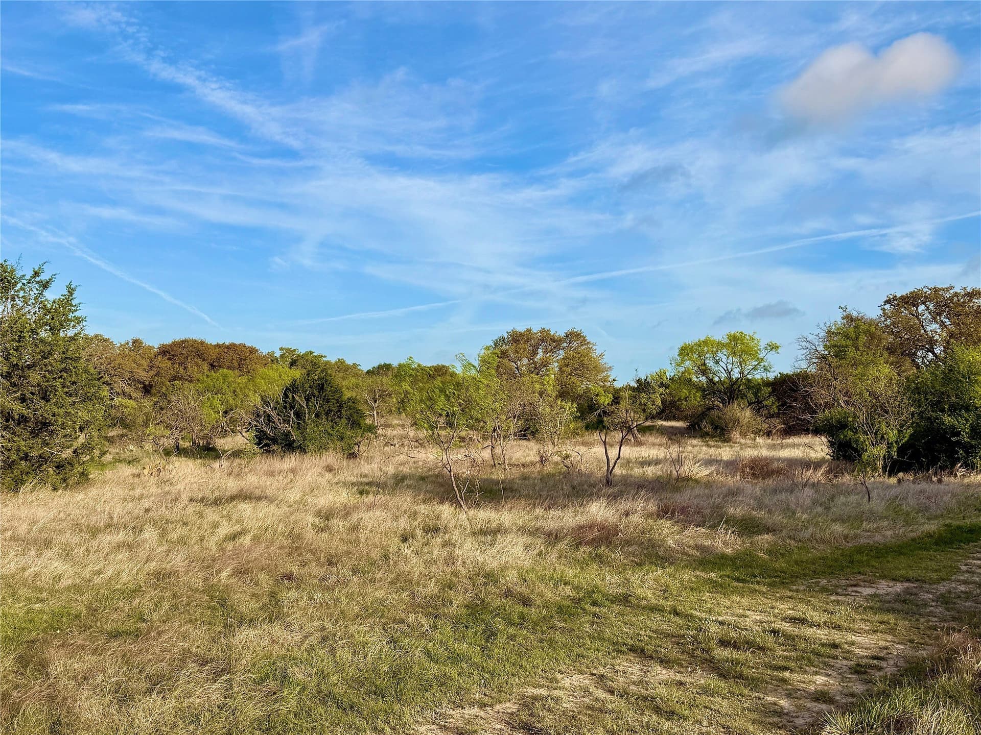 97.72 acres in Comanche County - photo 9