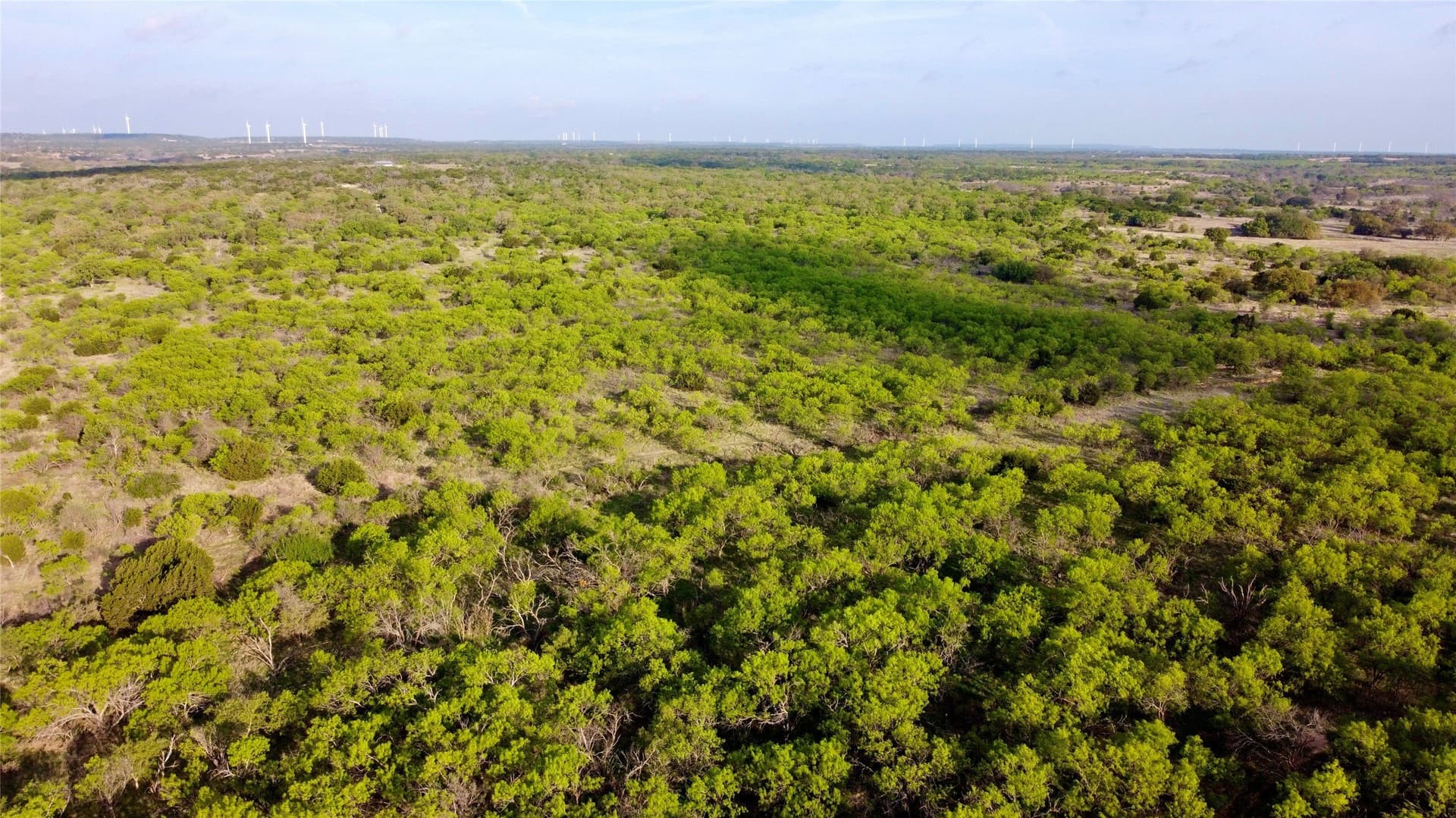 97.72 acres in Comanche County gallery image 4