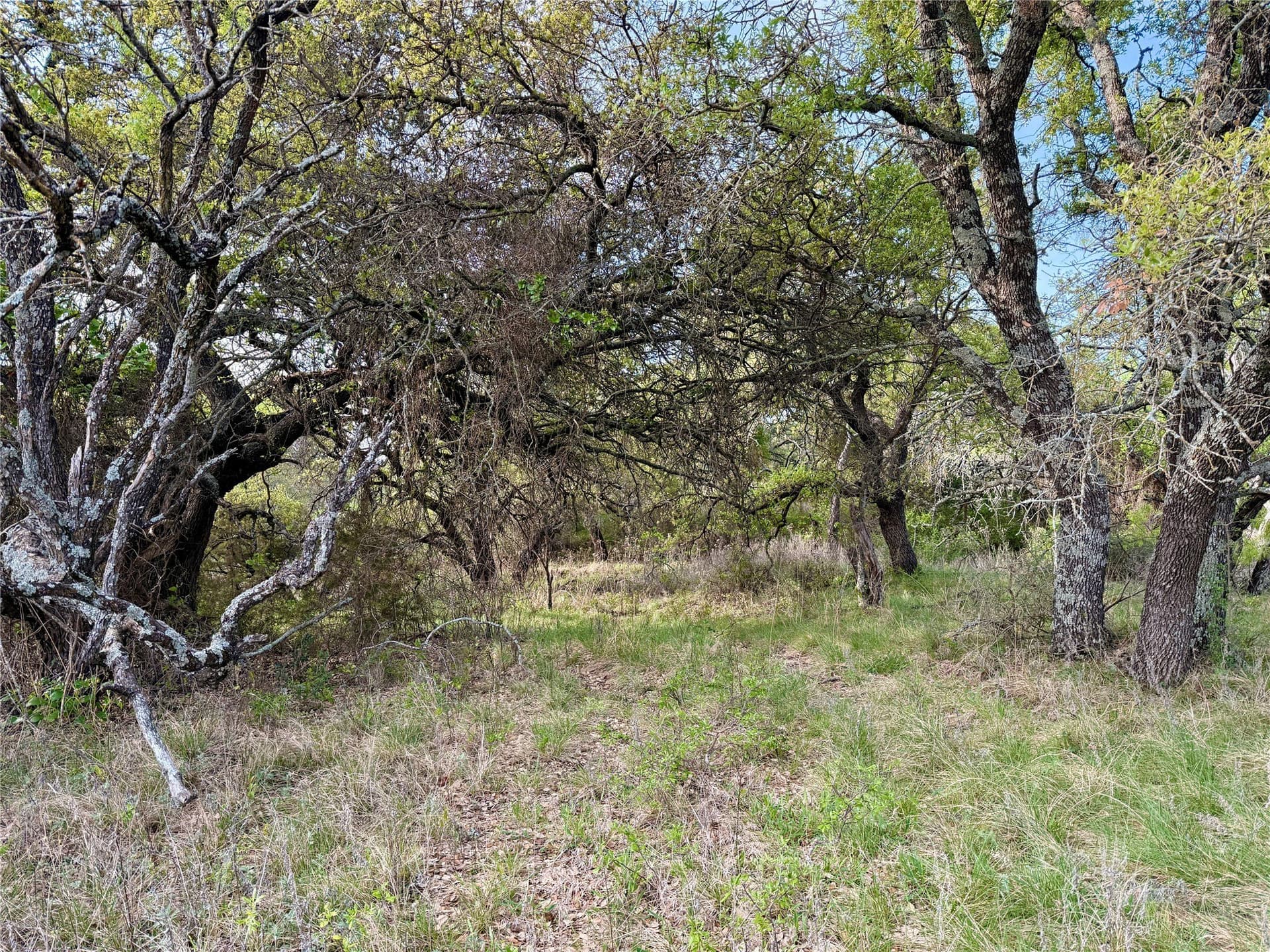 97.72 acres in Comanche County - photo 12