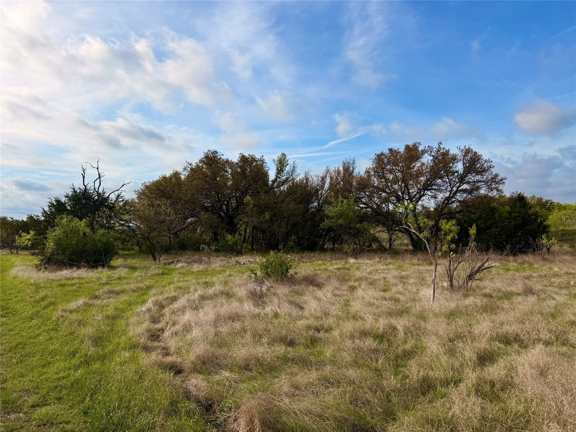 97.72 acres in Comanche County - photo 15