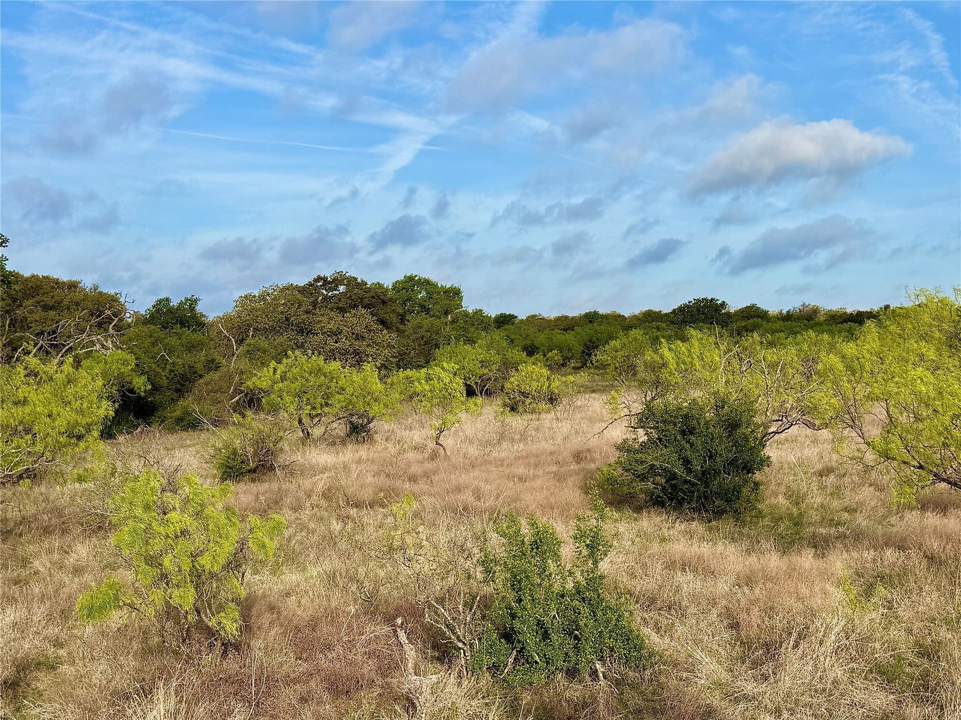 97.72 acres in Comanche County - photo 19