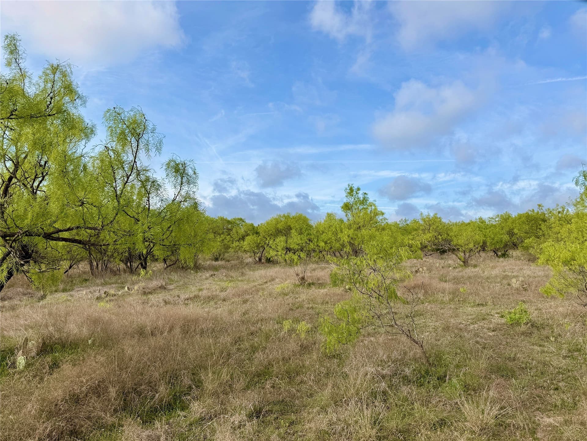97.72 acres in Comanche County - photo 13