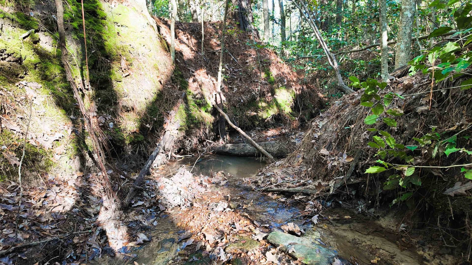 33.31 acres in Texas County - photo 19