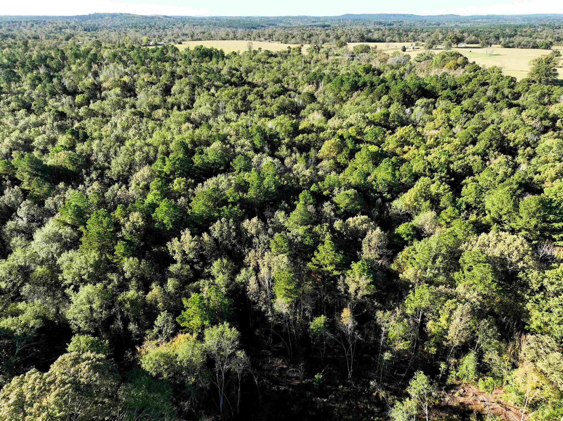 33.31 acres in Texas County - photo 10