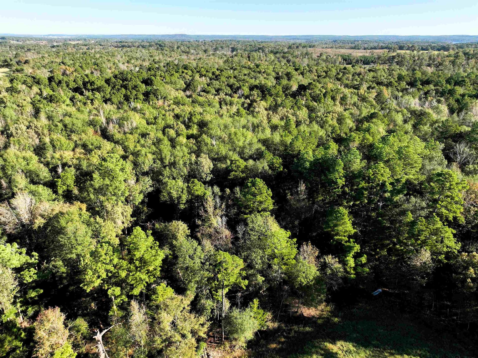 33.31 acres in Texas County - photo 8