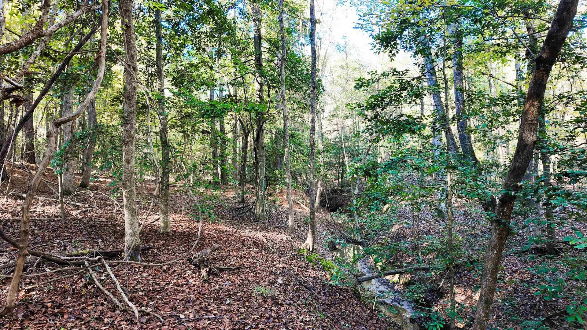 33.31 acres in Texas County - photo 15