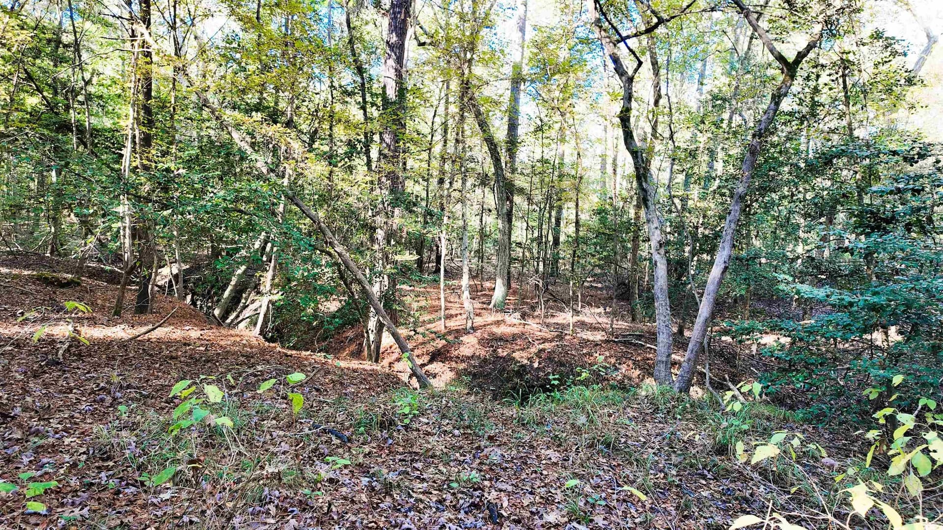 33.31 acres in Texas County - photo 16