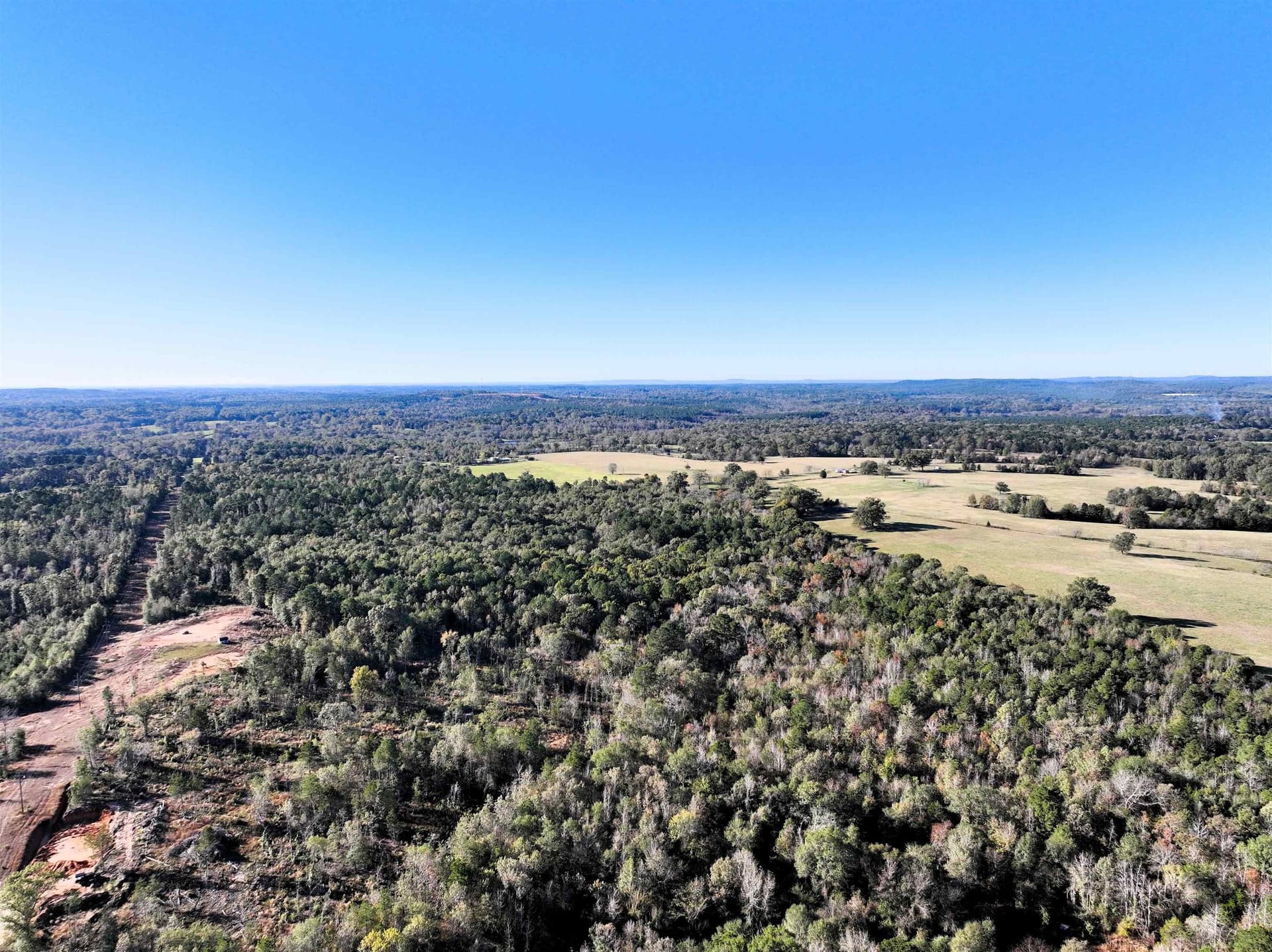 33.31 acres in Texas County gallery image 4