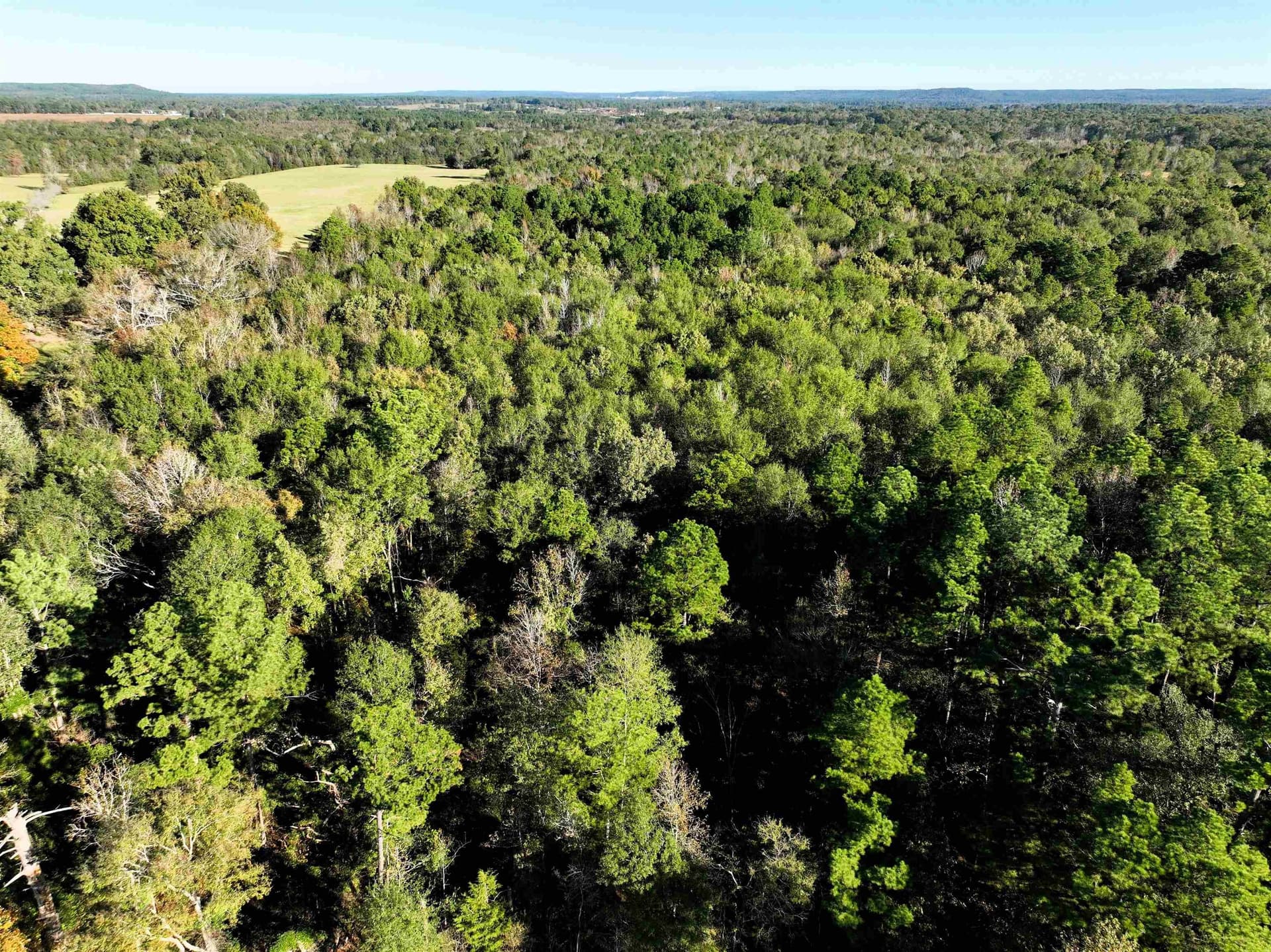 33.31 acres in Texas County - photo 9
