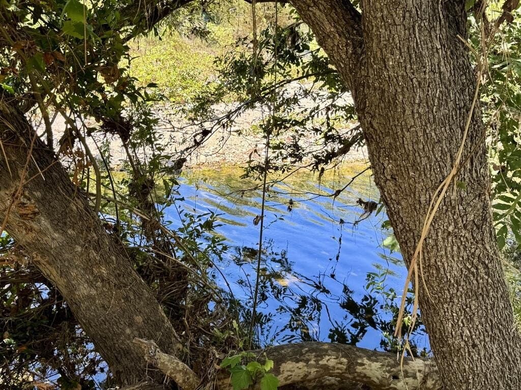 15.44 acres in Real County - photo 38
