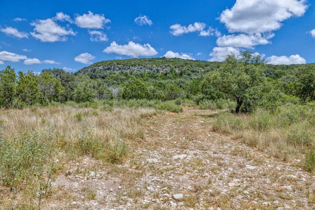 15.44 acres in Real County - photo 33