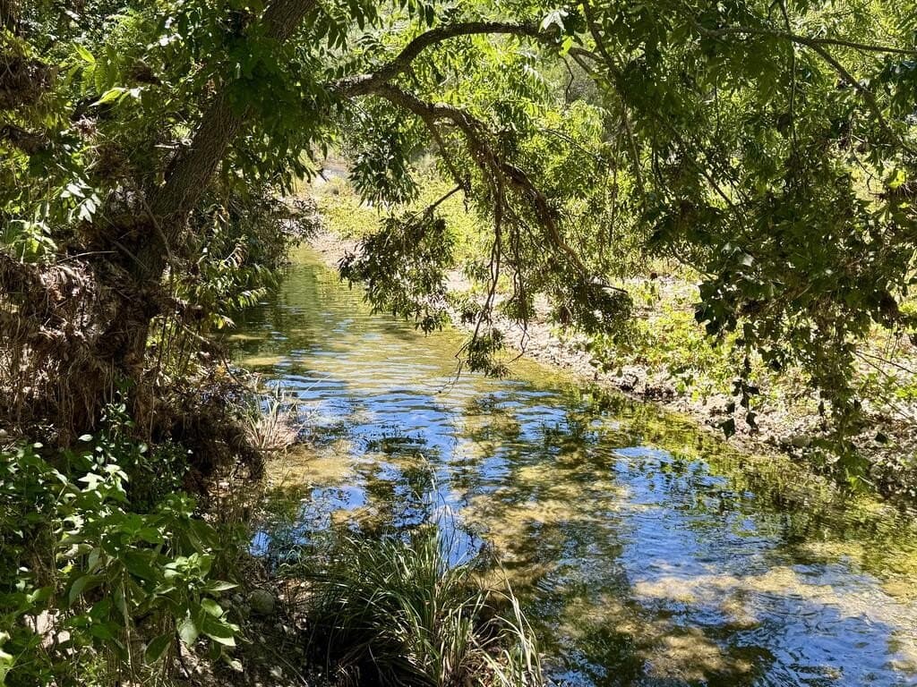 15.44 acres in Real County - photo 37