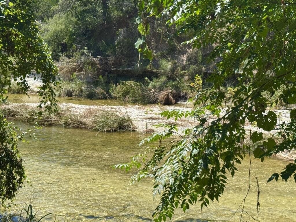 15.44 acres in Real County - photo 39