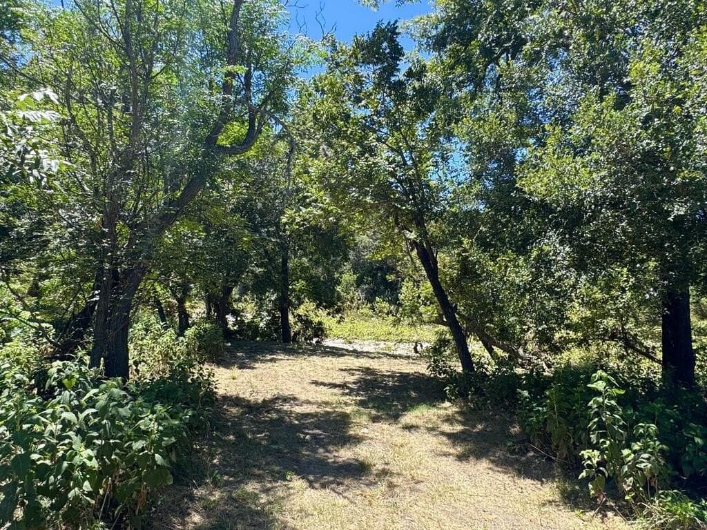 15.44 acres in Real County - photo 36