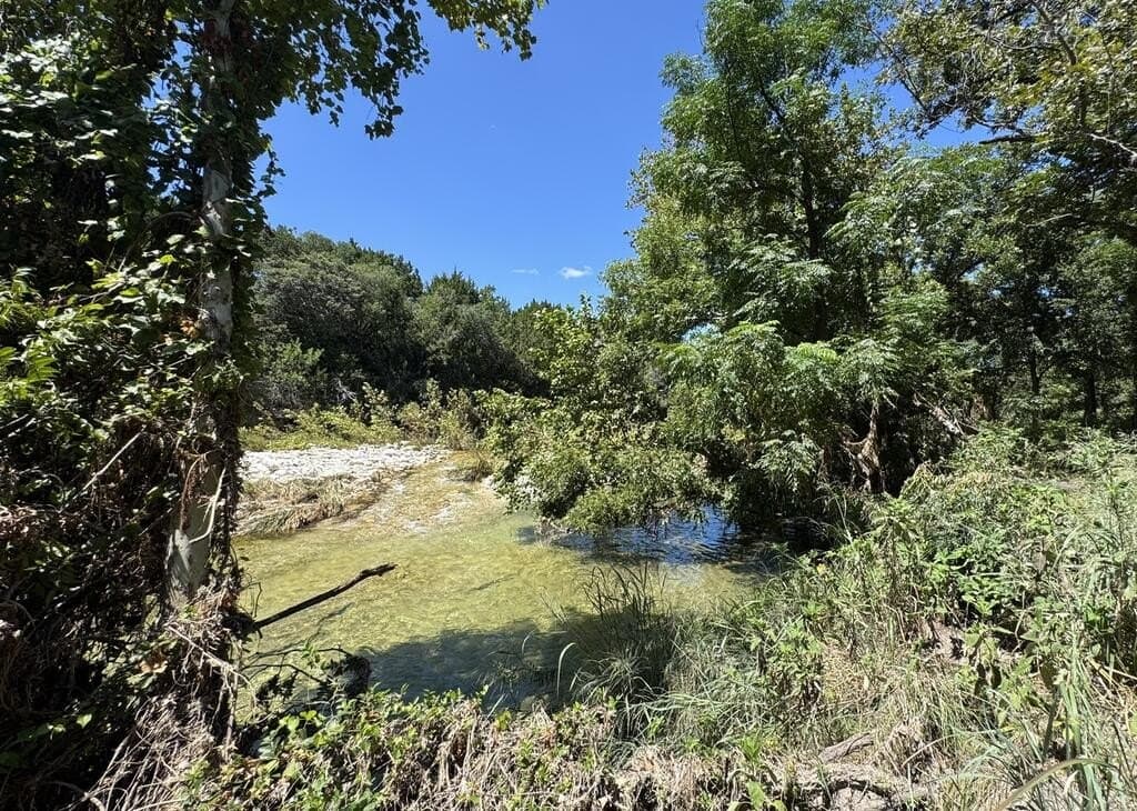 15.44 acres in Real County - photo 42