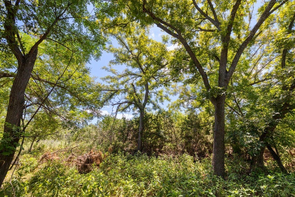 15.44 acres in Real County - photo 26